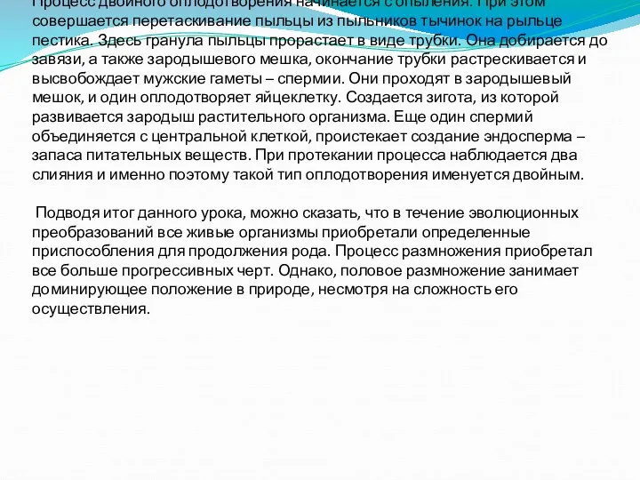 Процесс двойного оплодотворения начинается с опыления. При этом совершается перетаскивание