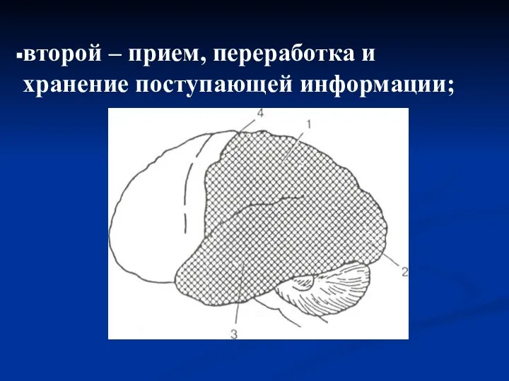 второй – прием, переработка и хранение поступающей информации;