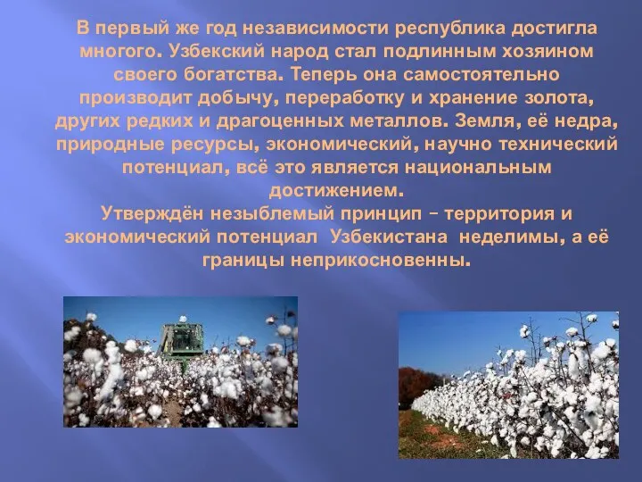 В первый же год независимости республика достигла многого. Узбекский народ стал подлинным хозяином
