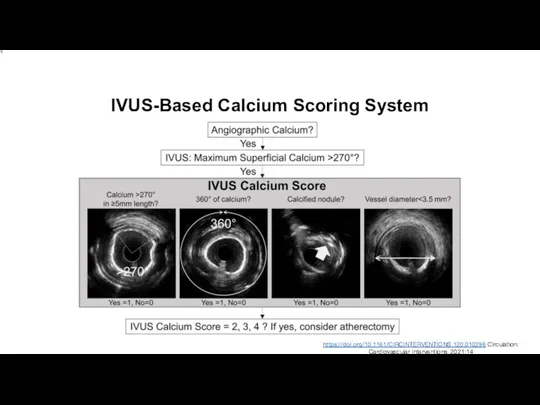 IVUS-Based Calcium Scoring System https://doi.org/10.1161/CIRCINTERVENTIONS.120.010296 Circulation: Cardiovascular Interventions. 2021;14