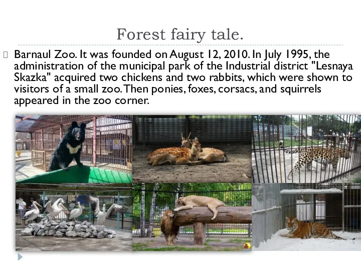 Forest fairy tale. Barnaul Zoo. It was founded on August
