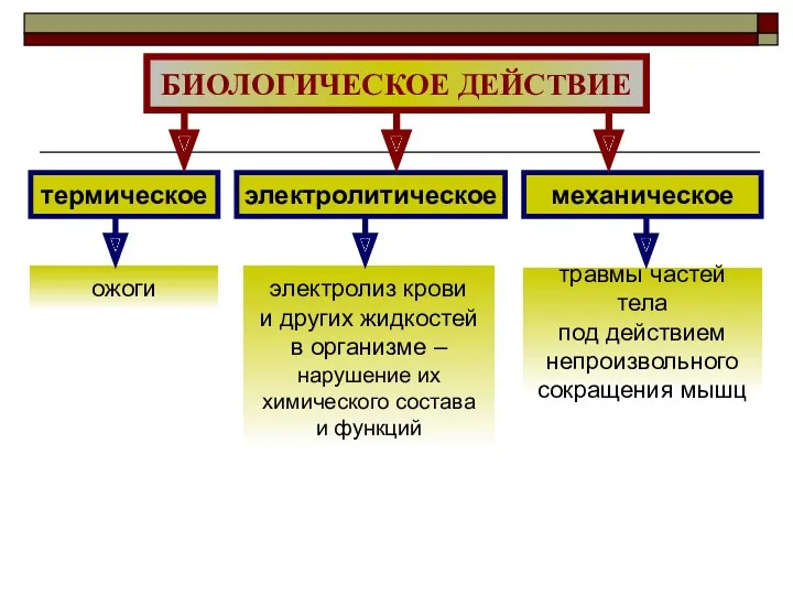 термическое электролитическое механическое БИОЛОГИЧЕСКОЕ ДЕЙСТВИЕ ожоги электролиз крови и других