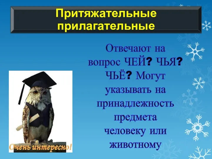 Отвечают на вопрос ЧЕЙ? ЧЬЯ? ЧЬЁ? Могут указывать на принадлежность предмета человеку или животному