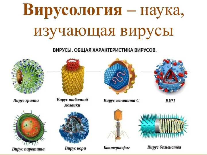 Вирусология – наука, изучающая вирусы