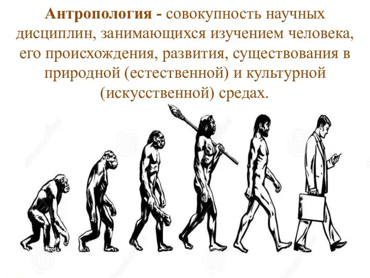 Антропология - совокупность научных дисциплин, занимающихся изучением человека, его происхождения, развития, существования в
