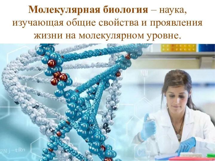 Молекулярная биология – наука, изучающая общие свойства и проявления жизни на молекулярном уровне.