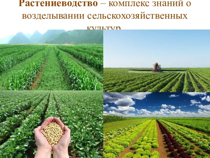 Растениеводство – комплекс знаний о возделывании сельскохозяйственных культур.
