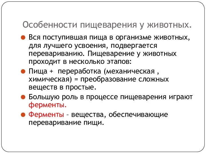 Особенности пищеварения у животных. Вся поступившая пища в организме животных,