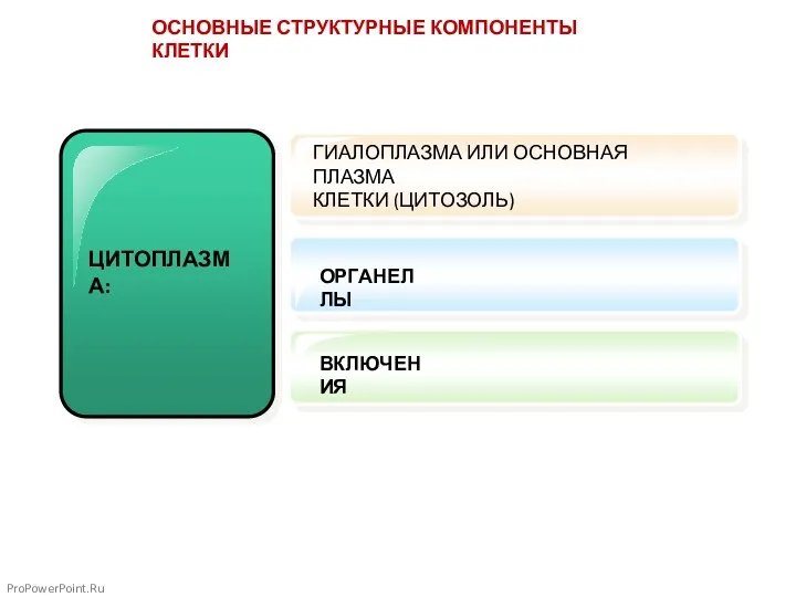 ЦИТОПЛАЗМА: ProPowerPoint.Ru ГИАЛОПЛАЗМА ИЛИ ОСНОВНАЯ ПЛАЗМА КЛЕТКИ (ЦИТОЗОЛЬ) ОРГАНЕЛЛЫ ВКЛЮЧЕНИЯ ОСНОВНЫЕ СТРУКТУРНЫЕ КОМПОНЕНТЫ КЛЕТКИ