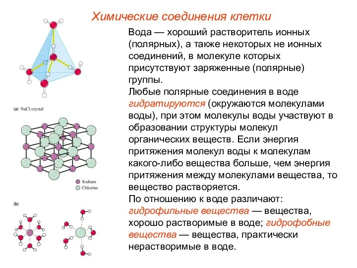 Химические соединения клетки Вода — хороший растворитель ионных (полярных), а