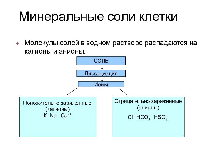 Минеральные соли клетки Молекулы солей в водном растворе распадаются на