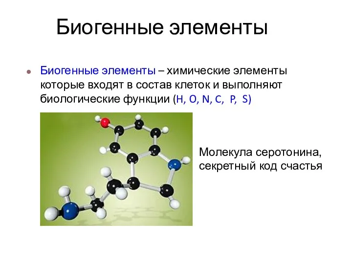 Биогенные элементы Биогенные элементы – химические элементы которые входят в