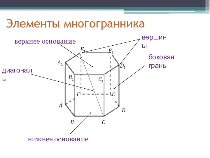 Элементы многогранника вершины верхнее основание нижнее основание боковая грань диагональ