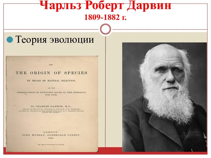 Чарльз Роберт Дарвин 1809-1882 г. Теория эволюции