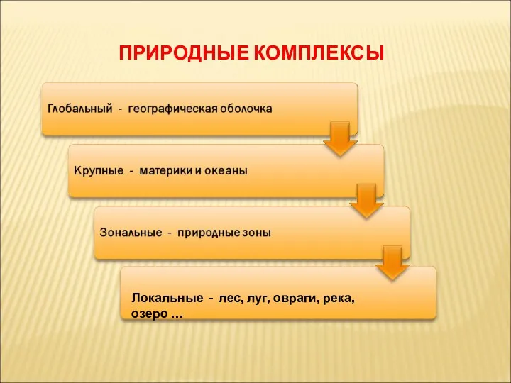 ПРИРОДНЫЕ КОМПЛЕКСЫ Локальные - лес, луг, овраги, река, озеро …