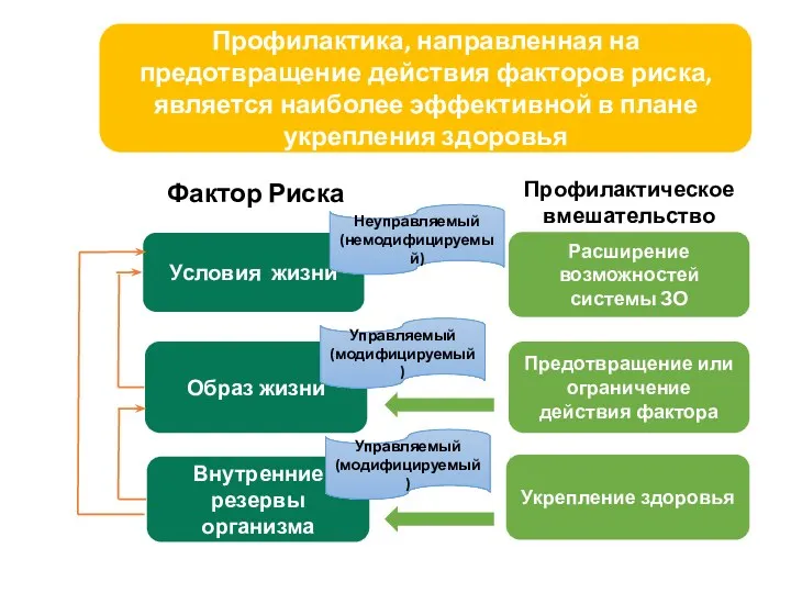 Профилактика, направленная на предотвращение действия факторов риска, является наиболее эффективной