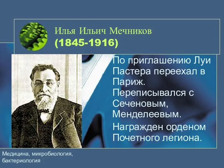 Илья Ильич Мечников (1845-1916) По приглашению Луи Пастера переехал в