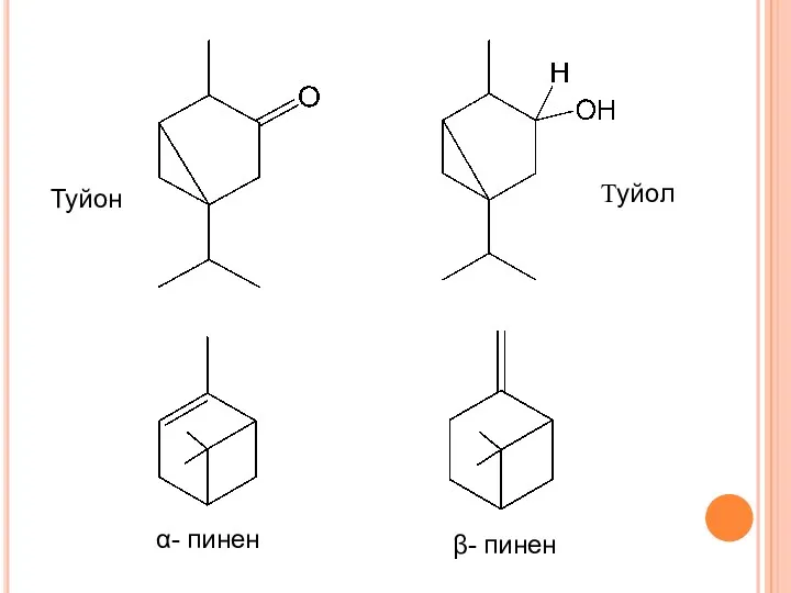 Туйон Туйол α- пинен β- пинен