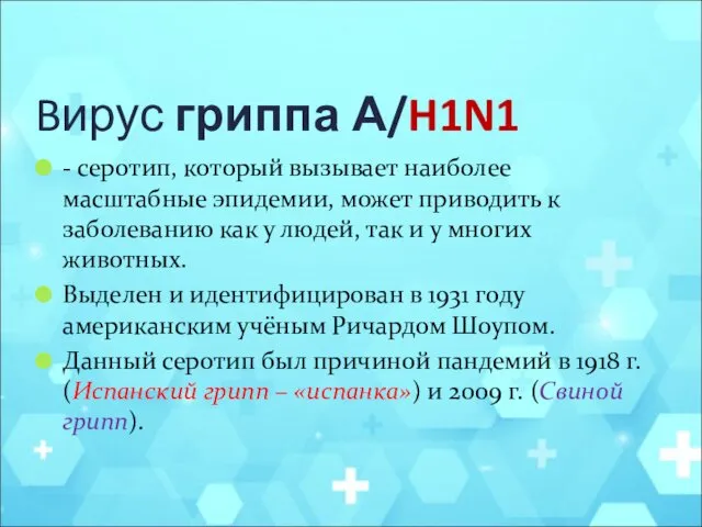 Bирус гриппа А/H1N1 - серотип, который вызывает наиболее масштабные эпидемии,