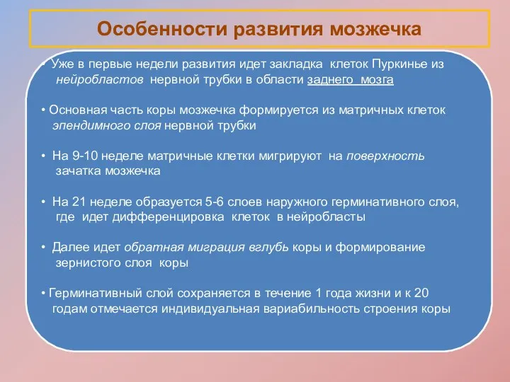 Особенности развития мозжечка Уже в первые недели развития идет закладка