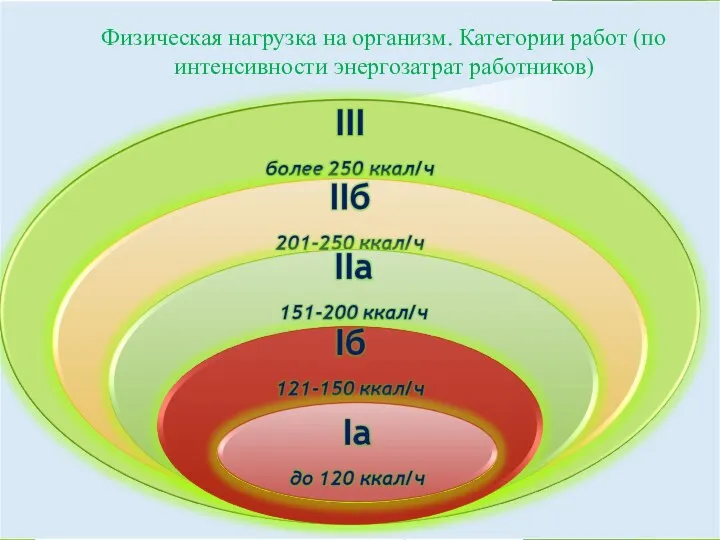 Физическая нагрузка на организм. Категории работ (по интенсивности энергозатрат работников)