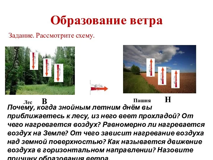 Образование ветра Задание. Рассмотрите схему. Лес В Пашня Н Почему,