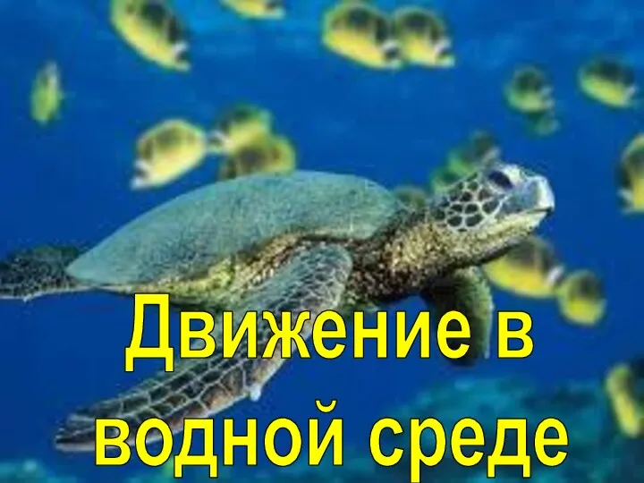 Движение в водной среде