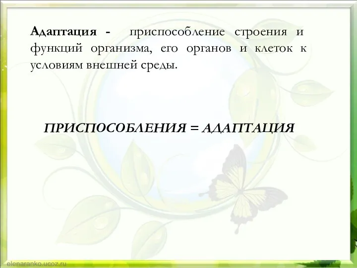 Адаптация - приспособление строения и функций организма, его органов и