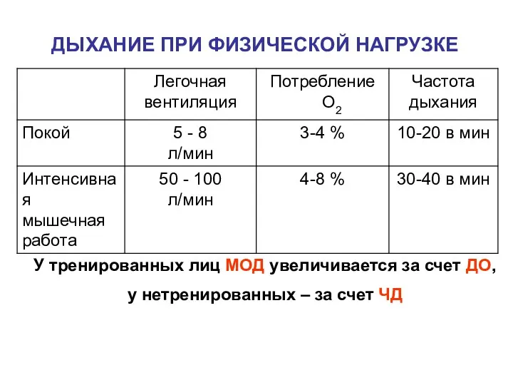 ДЫХАНИЕ ПРИ ФИЗИЧЕСКОЙ НАГРУЗКЕ У тренированных лиц МОД увеличивается за