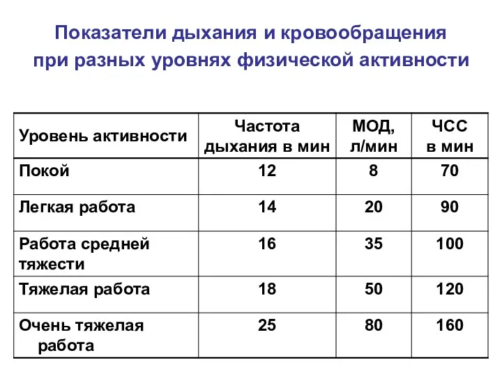 Показатели дыхания и кровообращения при разных уровнях физической активности