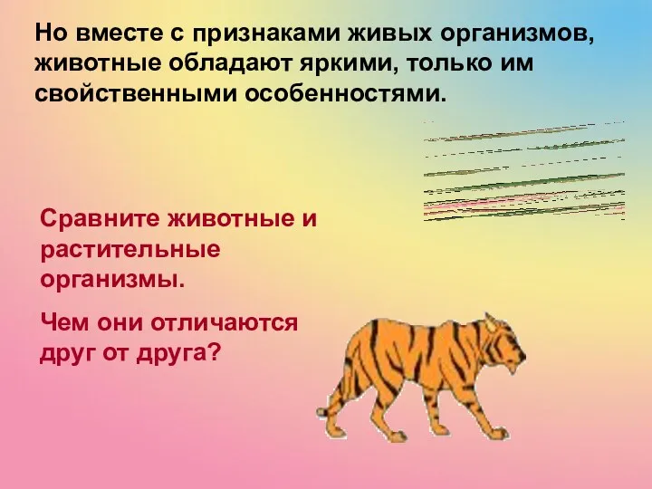 Но вместе с признаками живых организмов, животные обладают яркими, только