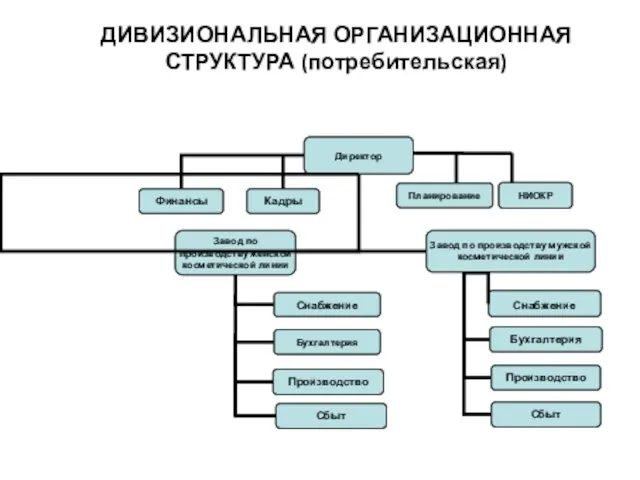 ДИВИЗИОНАЛЬНАЯ ОРГАНИЗАЦИОННАЯ СТРУКТУРА (потребительская)