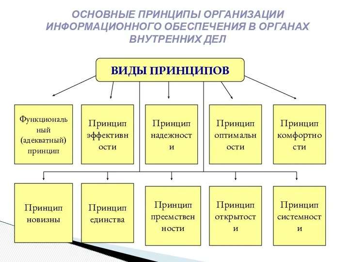 ОСНОВНЫЕ ПРИНЦИПЫ ОРГАНИЗАЦИИ ИНФОРМАЦИОННОГО ОБЕСПЕЧЕНИЯ В ОРГАНАХ ВНУТРЕННИХ ДЕЛ ВИДЫ