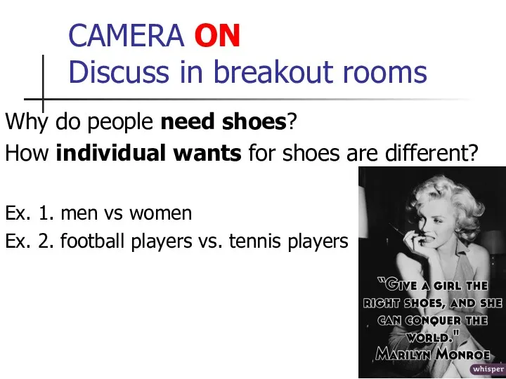 CAMERA ON Discuss in breakout rooms Why do people need shoes? How individual