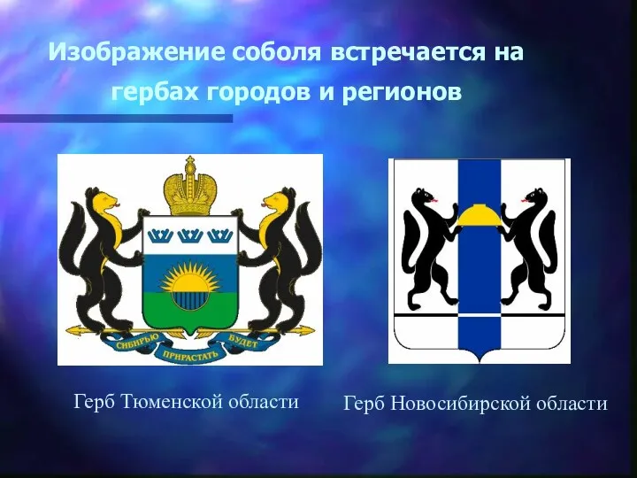 Изображение соболя встречается на гербах городов и регионов Герб Тюменской области Герб Новосибирской области