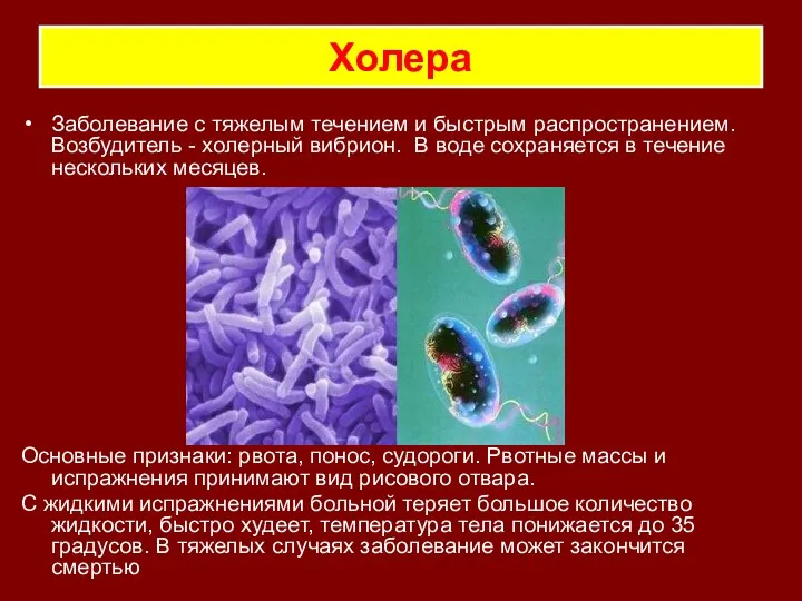 Холера Заболевание с тяжелым течением и быстрым распространением. Возбудитель -