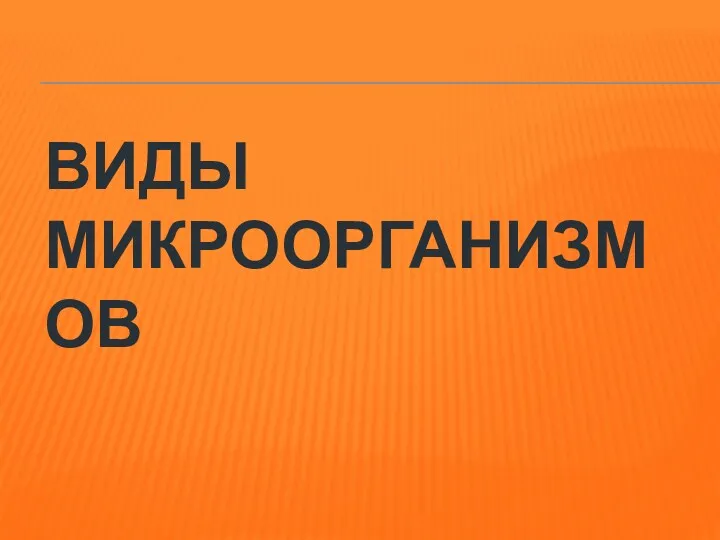 ВИДЫ МИКРООРГАНИЗМОВ