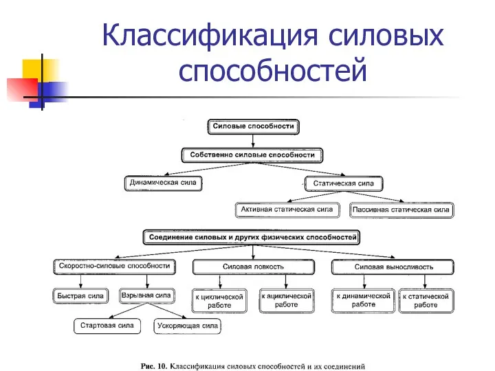 Классификация силовых способностей