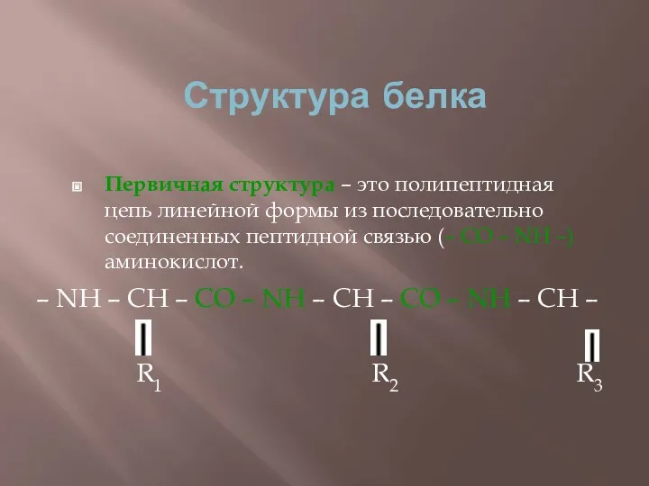 Структура белка Первичная структура – это полипептидная цепь линейной формы