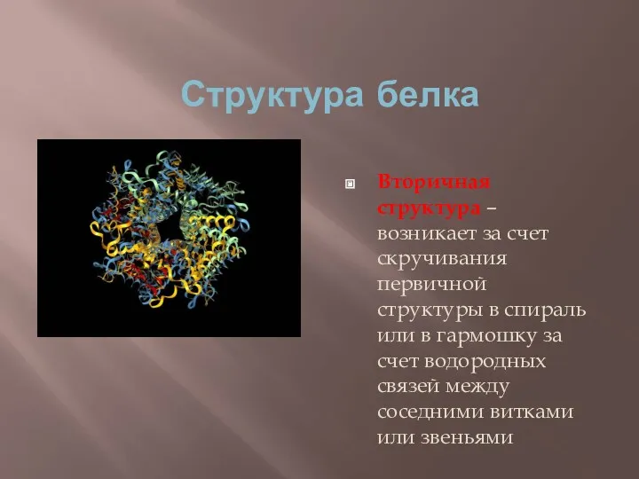 Структура белка Вторичная структура – возникает за счет скручивания первичной