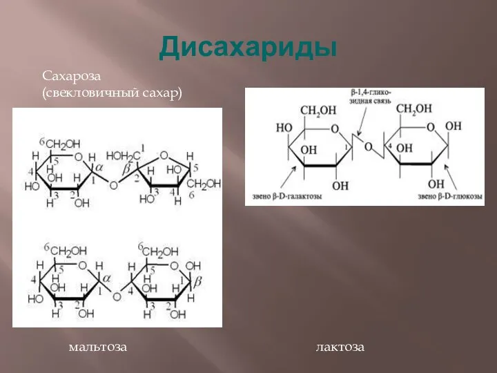 Дисахариды трегалоза Сахароза (свекловичный сахар) лактоза мальтоза