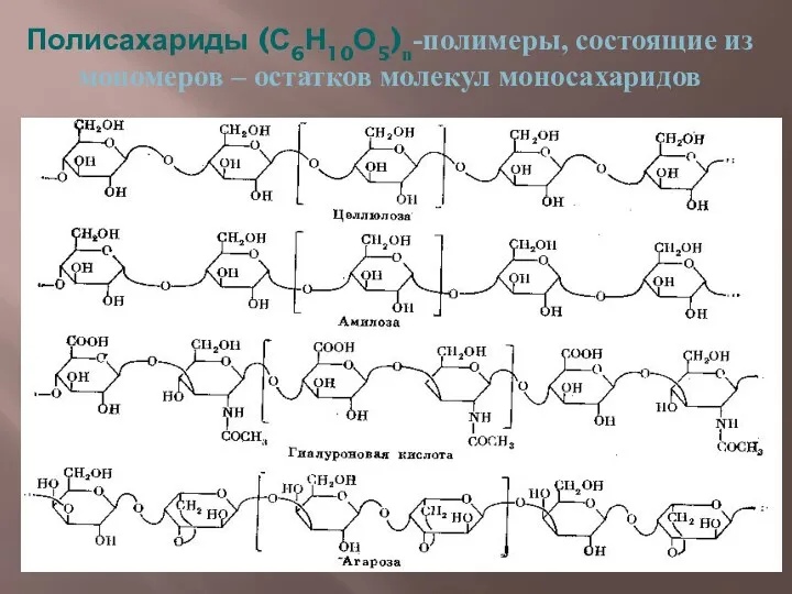 Полисахариды (С6Н10О5)n-полимеры, состоящие из мономеров – остатков молекул моносахаридов