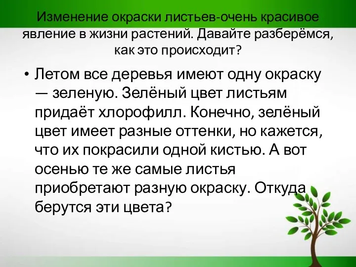 Изменение окраски листьев-очень красивое явление в жизни растений. Давайте разберёмся,