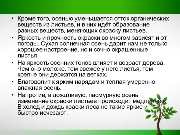 Кроме того, осенью уменьшается отток органических веществ из листьев, и