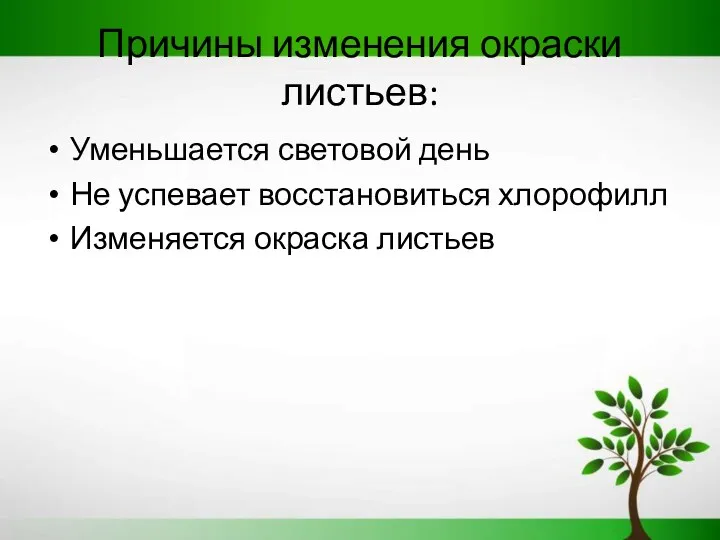 Причины изменения окраски листьев: Уменьшается световой день Не успевает восстановиться хлорофилл Изменяется окраска листьев