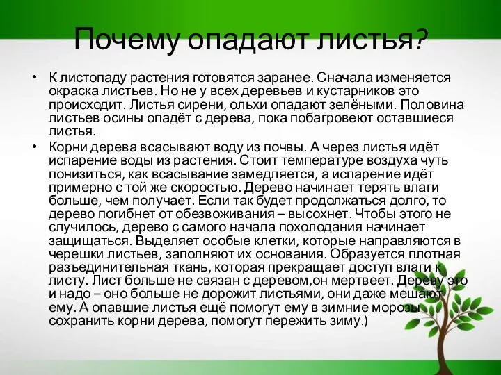 Почему опадают листья? К листопаду растения готовятся заранее. Сначала изменяется