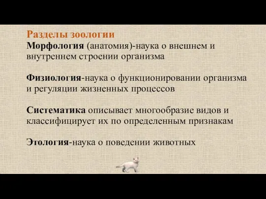 Разделы зоологии Морфология (анатомия)-наука о внешнем и внутреннем строении организма