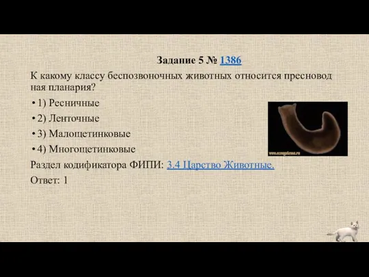 Задание 5 № 1386 К ка­ко­му клас­су бес­по­зво­ноч­ных жи­вот­ных от­но­сит­ся