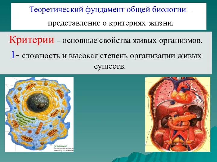 Теоретический фундамент общей биологии – представление о критериях жизни. Критерии