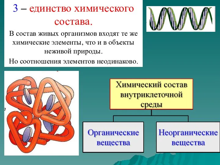 3 – единство химического состава. В состав живых организмов входят